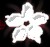 New posts