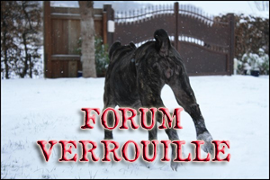 Forum is locked