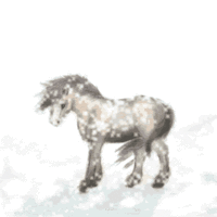 New posts