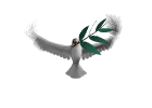 rfv