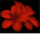 New posts
