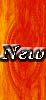 New posts