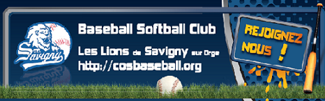 SOFTBALL TEAMS Les lions de Savigny/Orge Forum Index