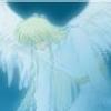 No new posts