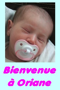 Bébé Bonheur Forum Index
