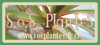 S.o.S Plantes Forum Index